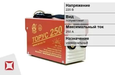 Сварочный аппарат Торус 250 А универсальный в Шымкенте